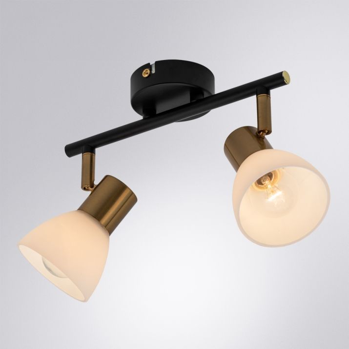 Спот потолочный Arte Lamp FALENA A3117PL-2BK