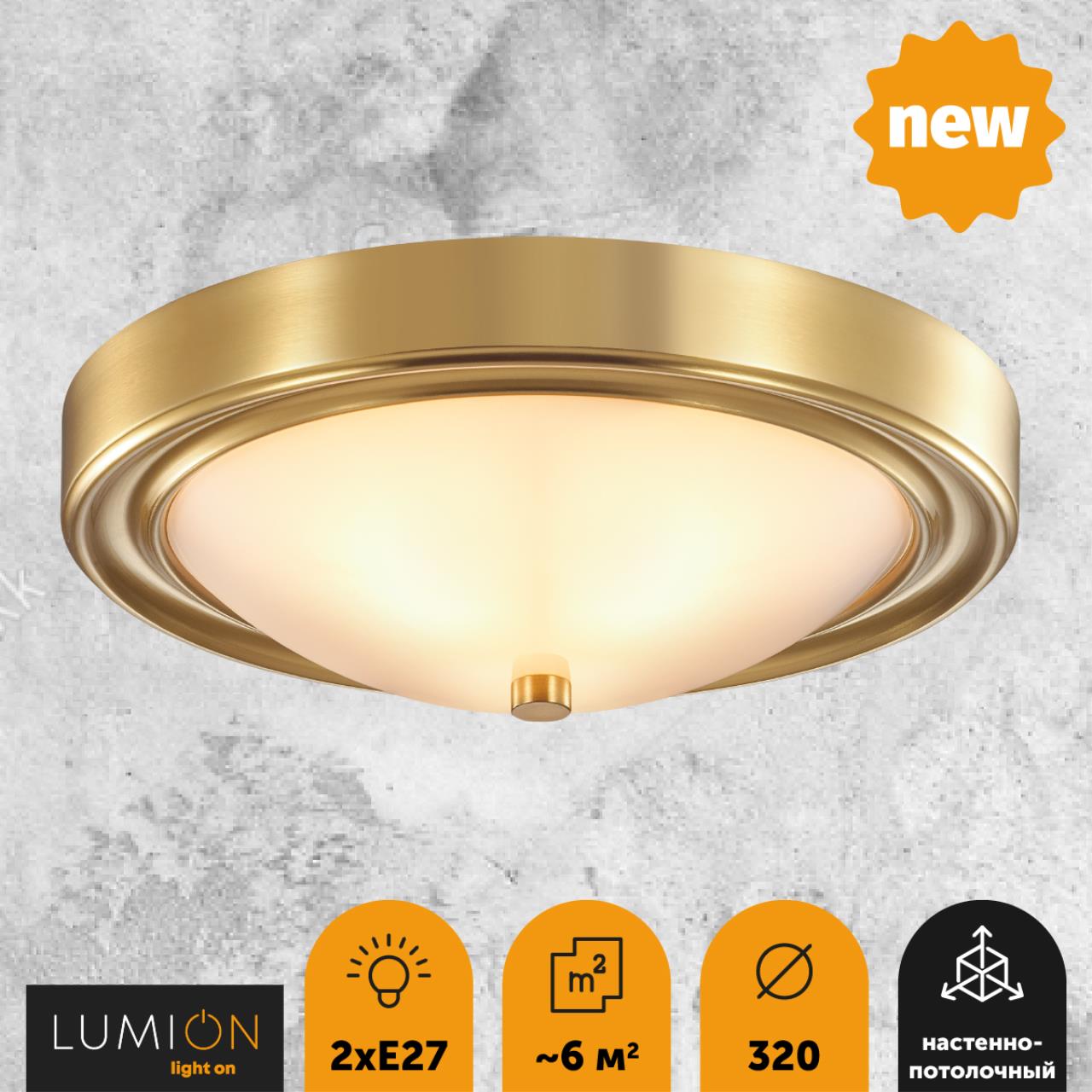 Потолочный светильник LUMION NINA 5259/2C